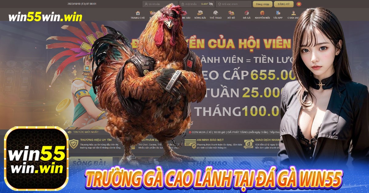 Trường gà Cao Lãnh tại Đá gà Win55 