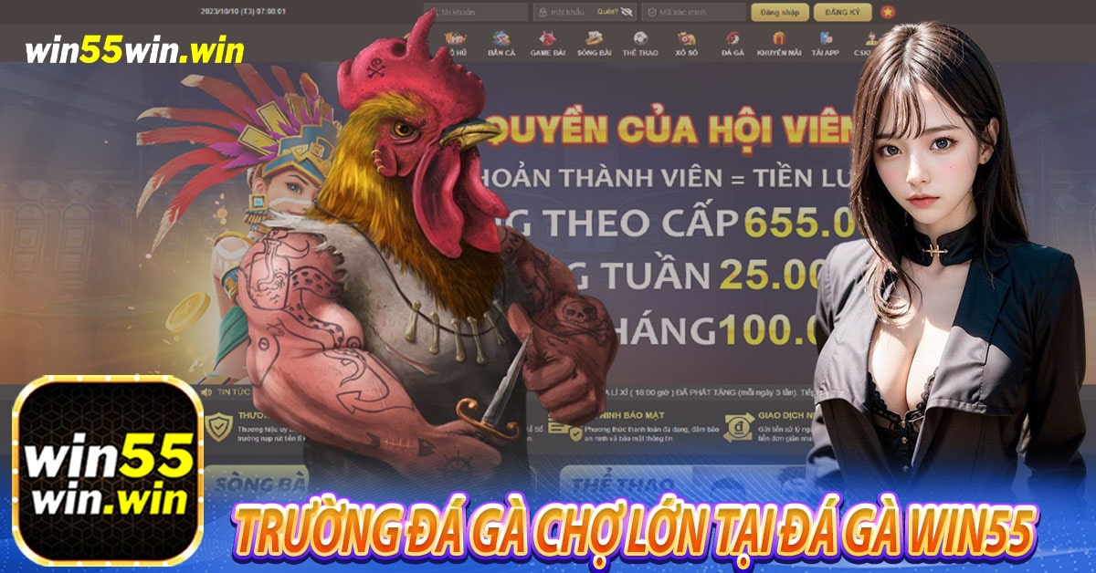 Trường đá gà Chợ lớn tại Đá gà Win55 