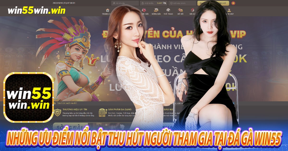 Đá gà Win55 có những ưu điểm nổi bật gì thu hút người tham gia?