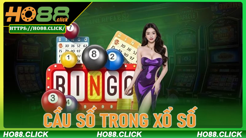 Cầu Số Trong Xổ Số - Bí Quyết Soi Hiệu Quả Tại ho88