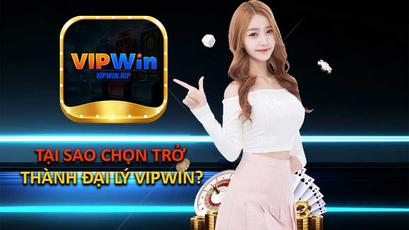Tại Sao Chọn Trở Thành Đại Lý VIPWIN?